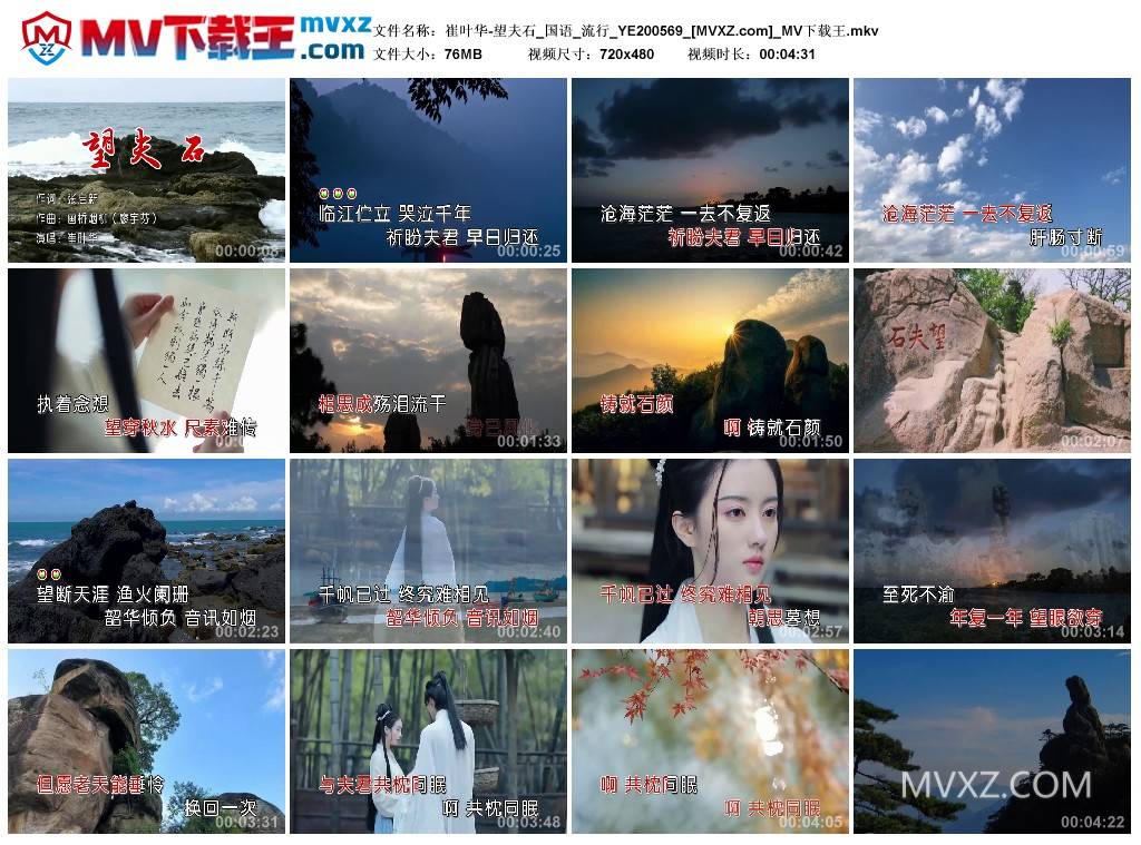 崔叶华-望夫石_国语_流行_YE200569